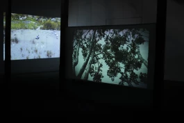 Estefanía Muñoz Cabrera