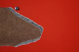 Estefanía Muñoz Cabrera