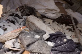 Estefanía Muñoz Cabrera