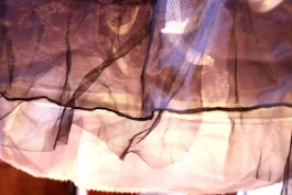 Estefanía Muñoz Cabrera