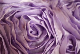 Estefanía Muñoz Cabrera