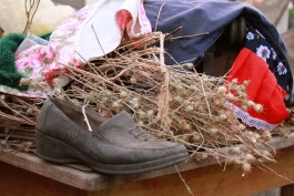 Estefanía Muñoz Cabrera