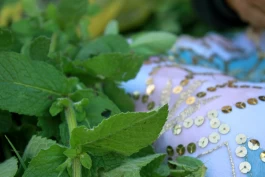 Estefanía Muñoz Cabrera