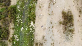 Estefanía Muñoz Cabrera