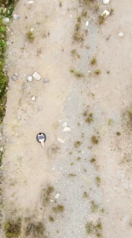 Estefanía Muñoz Cabrera