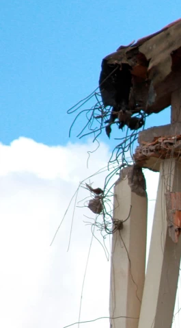 Estefanía Muñoz Cabrera