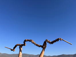 Estefanía Muñoz Cabrera