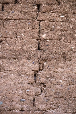 Estefanía Muñoz Cabrera