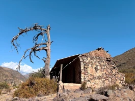 Estefanía Muñoz Cabrera