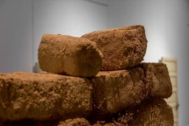 Estefanía Muñoz Cabrera